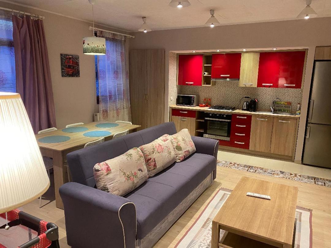 클루지나포카 Igi Red Flat With Free Private Parking 아파트 외부 사진